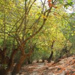 Muğla’nın Saklı Kalmış Cennetinden Bir Köşe: Uyku Vadisi