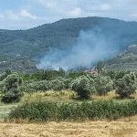 Muğla’da zeytinlik yangını – Hamle Gazetesi