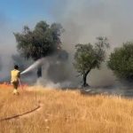 Milas Pınarcık ve Demirciler yangını kontrol altına alındı – Hamle Gazetesi