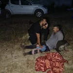 Hayvan parkından kaçan aslan fıstık bahçesinde uyuyan çiftçiye saldırdı – Hamle Gazetesi