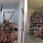 Bozulmuş Hayvan Kafatasları İstiflenmiş Halde Bulundu