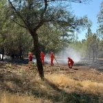 Fethiye’deki yangında soğutma çalışmaları başladı – Hamle Gazetesi